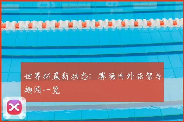 世界杯最新动态：赛场内外花絮与趣闻一览
