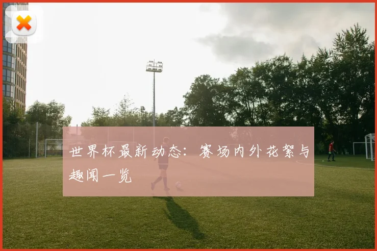 世界杯最新动态：赛场内外花絮与趣闻一览